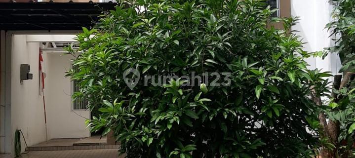 The Icon Langka Bsd Cosmo Front Garden House 1