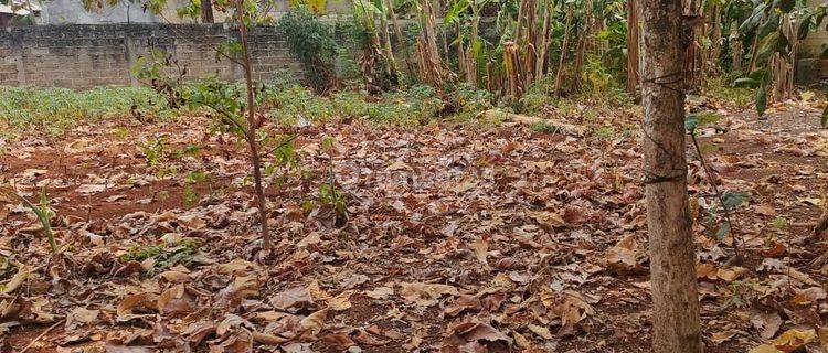 Tanah padat masih girik murah lokasi dekat pintu tol limo 1