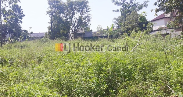 For Sale Plots In Bulusan Tembalang Semarang 1