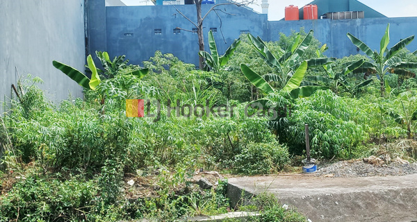 Plot in Tirto Husodo Timur, Banyumanik, Semarang 1