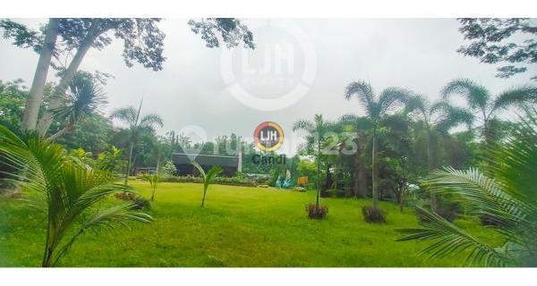 Business Location on Kol R Warsito Street, Gunungpati, Semarang 1