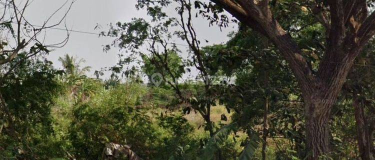 Harga Termurah ! Tanah Kav Darmo Satelit 1