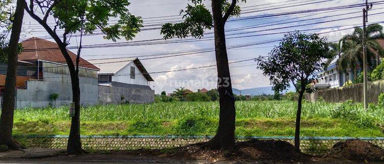 Tanah Murah Sekali Dijual Dibawah Njop di Malang Dekat Universitas 1