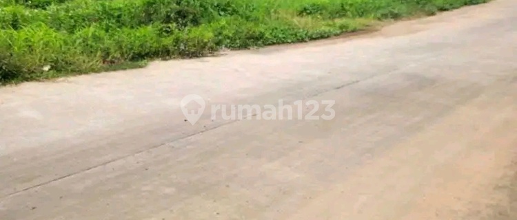 Promo Bombastis Kavling Murah bisa Dicicil di Ngaliyan 1