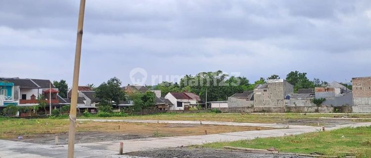 Cheapest Plot Ready to Build Near Undip in Tembalang 1