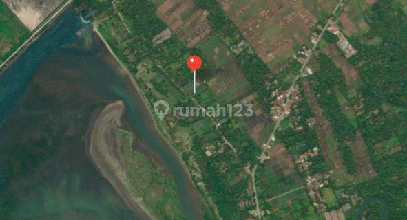 JUAL CEPAT KAV TANAH INDUSTRI  PINGGIR PANTAI LABA LABUAN PANDEGLANG CILEGON BANTEN  1