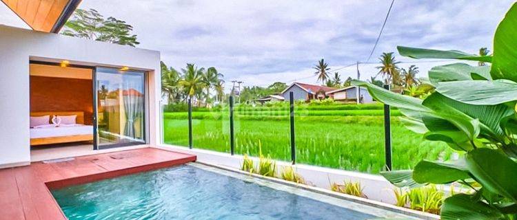 Villa Tepi Sawah Ubud 1