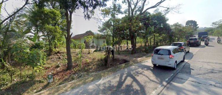 Jual Kavling Jonggol, Kab Cianjur. Jalan Alternatif Puncak Bandung Tanah di Jalan Alternatif Puncak Bandung, Jonggol. Kab Cianjur  1