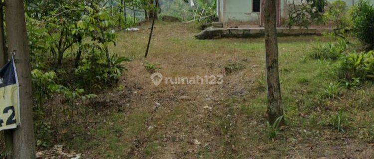 Jual Tanah 2Ha,  di Jl Raya Jonggol. di JL Sirna Rasa- Mekar Galih
 1