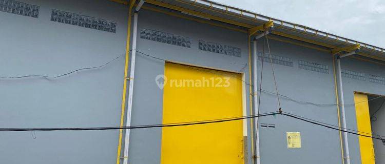 Disewakan Gudang Bangunan Baru Ukuran 10x40m Ready  1