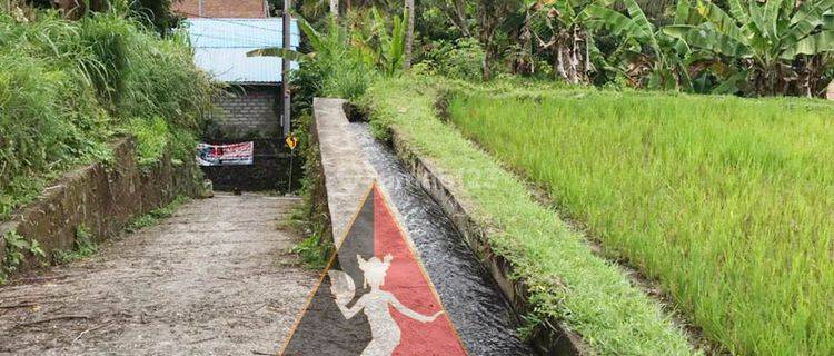 Tegalalang Ubud Tanah Rata Dengan View Tanpa Batas 1