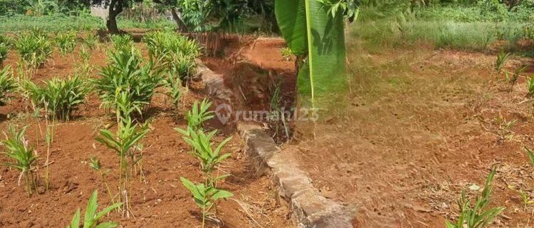 Tanah Luas Lokasi Strategis Cikeas Bogor 1