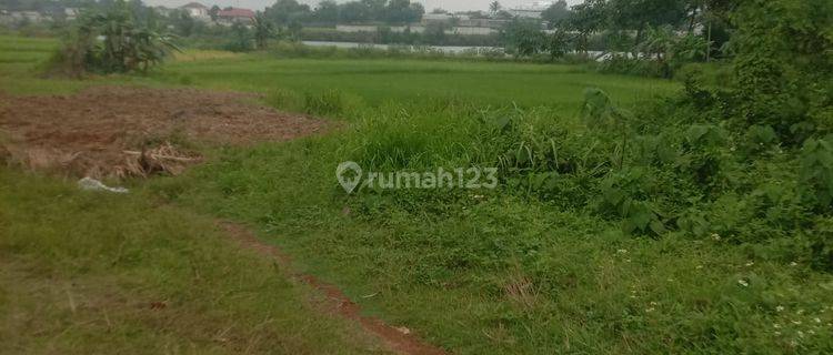 Jual Cepat Tanah 31,5 Ha Di Desa Ciangir Legok Tangerang 1