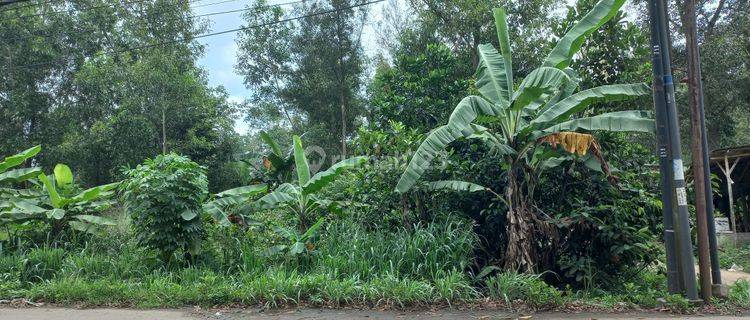 Disewakan Tanah Pinggir Jalan Dekat Industrial Cileles 1