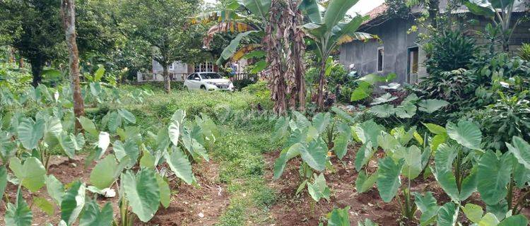 Di Jual Tanah Di Bogor Ciapus , Jawa Barat 1