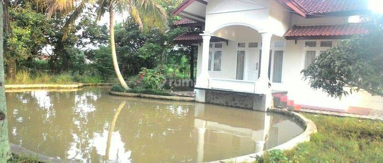 Rumah Di Situ Ilir Cibungbulang , Bogor,  1