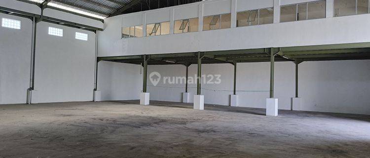 New Gress Warehouse 800m2 in South Mahendradatta SHM 1