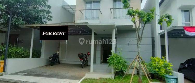 For Rent Rumah Di Serenia Hills Type Ultimate 2 Lantai Bagus Sekali Semi Furnished 1