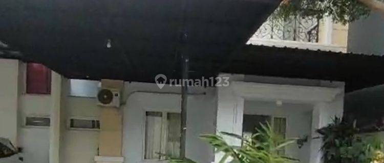 Rumah Sewa Murah.dgn Sebagian Perabot Di Raflesia Tanjung Bunga 1