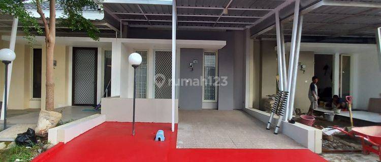 Rumah Sewa Dengan Perabot di Cluster Castanea, Tanjung Bunga 1