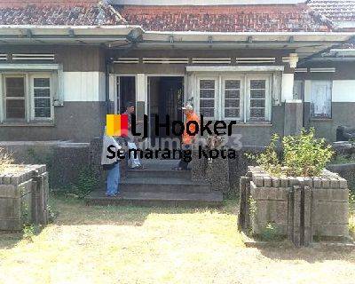 Rumah Kuno di Jalan Sunan Kudus 1