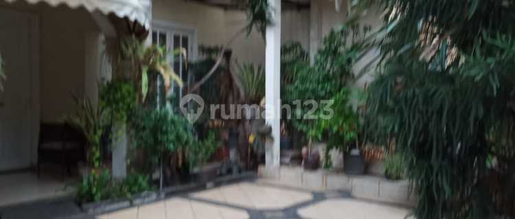 Rumah Kalibata Utara Lt. 257 M Lb. 325 M , 7.4m 1