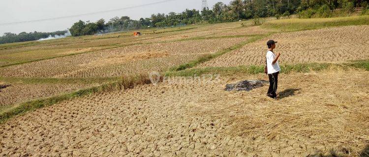 Tanah Komersial di Jl Pamarayan Wirana Damping Serang Banten 1