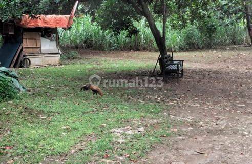 Tanah Di Cirendue Cocok Untuk Town House Jalan Lebar. 1