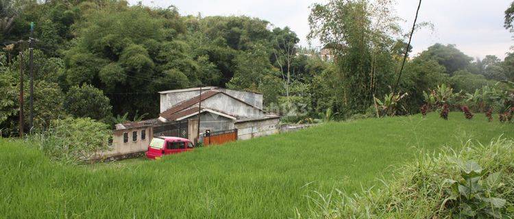 6 Petak Sawah Bisa Unt Rumah Atau Villa 1