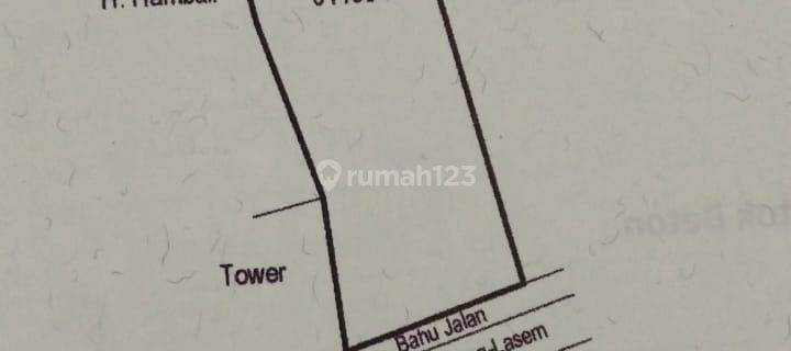 Dijual Tanah Jl Raya Rembang Lasem 1