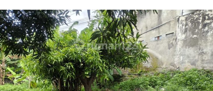 Land for sale behind Jatingaleh market. 1