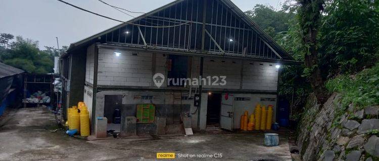 Pabrik Ayam di Jl Jeruk Rt 2 Rw 2 Desa Cibadung, Bogor 1