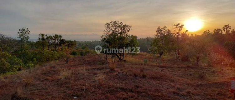 Dijua Tanah View Gunung Dan Laut di Karang Asem 1