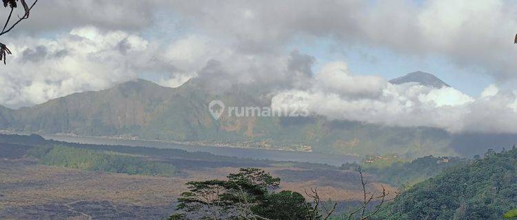 Land with Super View of Mount and Lake Batur Kintamani Bangli 1