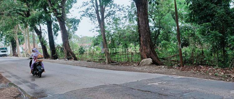 Tanah Komersial 30 Ha Strategis Cocok Bangun Pabrik Nempel Jalan Propinsi dekat Tol Kalijati Subang Jawa Barat 1