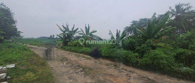 Tanah Murah 12,5 Ha Strategis Pinggir Jalan Utama Shm Cocok Industri Cikande Tangerang 1