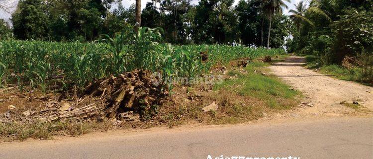 Tanah Murah Pinggir Jalan Natar 1