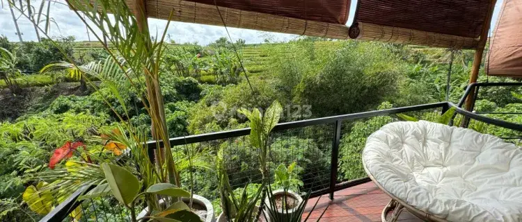 Semi Villa with Industrial Minimalist Concept at Gianyar with Rice Paddy View 1