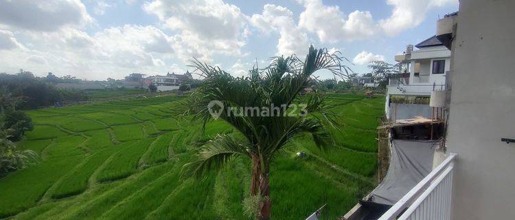 Jual Rumah Bernuansa Villa di Dalung Canggu View Sawah 1