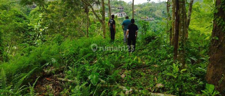 Tanah View Jungle dan River di Begawan Giri Payangan Ubud 60 Are  1