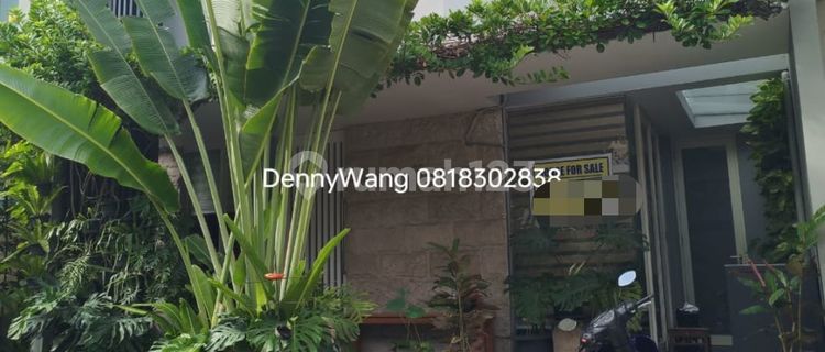 Citraland Royal Park1 Minimalis Tropical Taman Besar 3.6m Nego  1