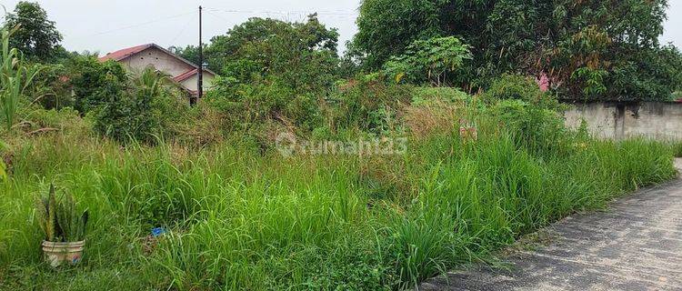 Dijual Tanah Kosong Limbungan,rumbai Pesisir Pekanbaru 1