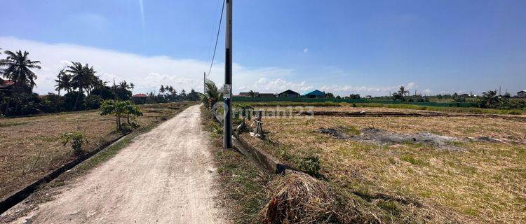 Kavling Bali Seseh Luas 2750m2 Hrg 18jt Lease Hold 25 Thn 1