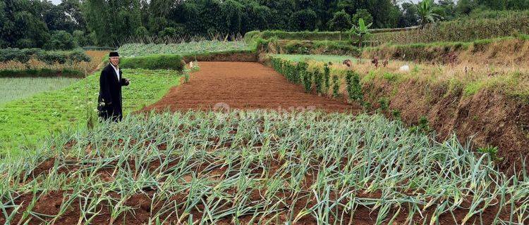  DIJUAL LAHAN  SIAP PAKAI di DAERAH PACET CIANJUR 1