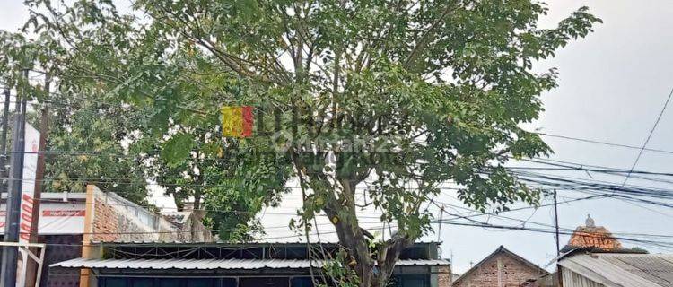 Ruko Bagus Siap Pakai di Kedungmundu Raya Semarang 1