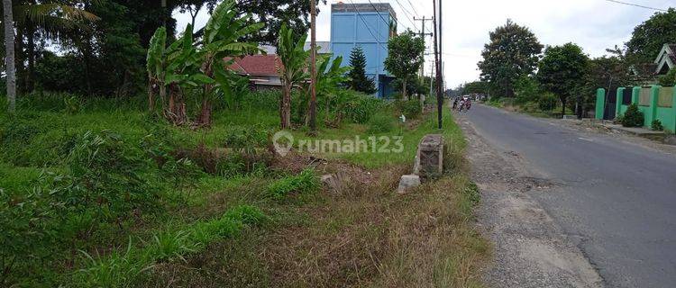 Tanah Di Pinggir Jalan Raya Terbanggi Propinsi Lampung Tengah 1