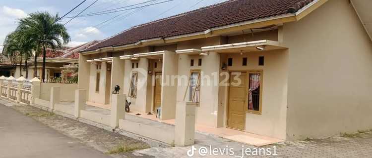 Quick Sale Fully Stocked Raised Beds 1