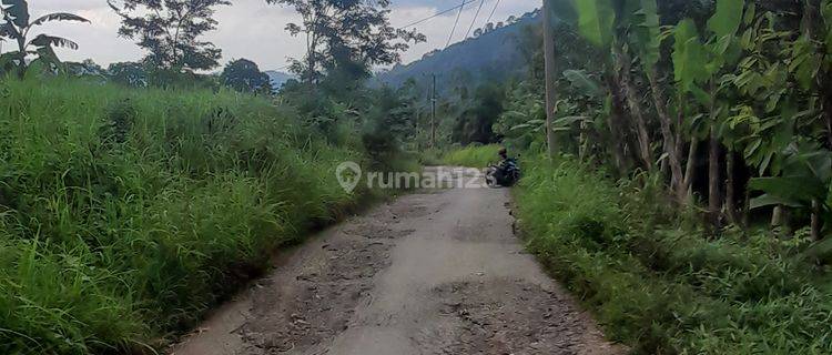 Tanah Kebun Cocok untuk Perumahan atau tempat wisata 1