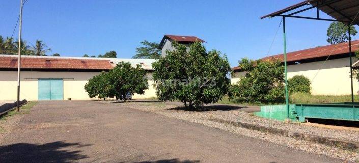 Gudang Jual Lokasi Tegineneng. Pesawaran 1
