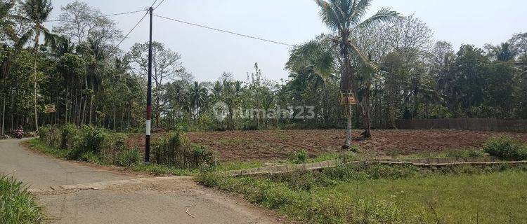 Jual Cepat Tanah Kebun Di Pesawaran 1